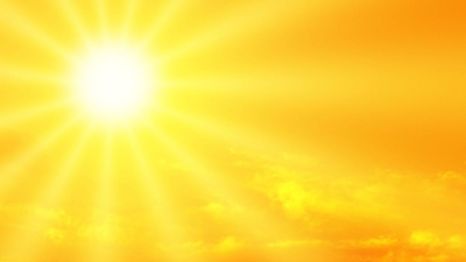 Das "Sonnenhormon" Vitamin D: Fast alle haben einen Mangel